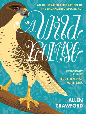 A Wild Promise - ebook